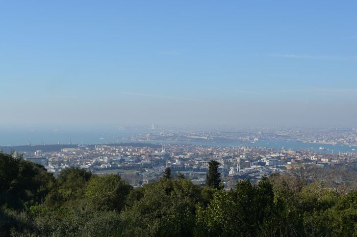 Treves and other centers