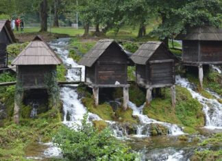 A Tragic Scene of Violence and Fear