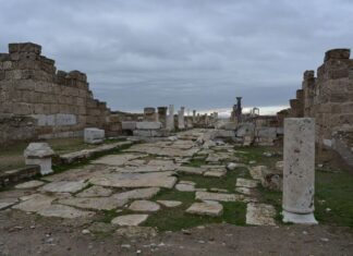The Main Church of Sardis (Church D)